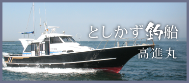 ƂޑD@i
